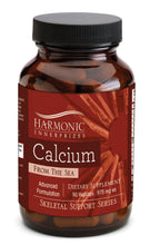 Calcium From The Sea Image